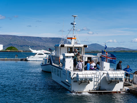 Best Value Whale Watching tour from Reykjavik, photo 3