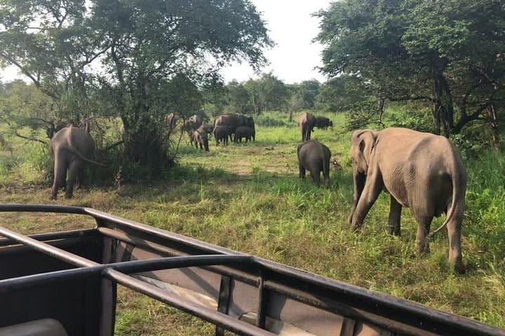 Horton Plains National Park Tour With Scenic Train Ride