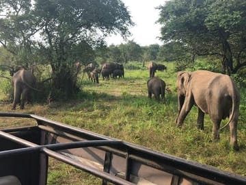 Hurulu Eco Park Private Safari