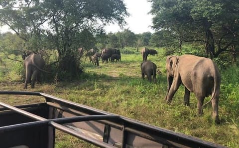 Hurulu Eco Park Private Safari