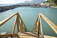 Dolphin Swim Adventure at St.Kitts 7