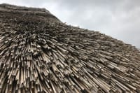 Bath and Stonehenge Full-Day Private Tour from London 2