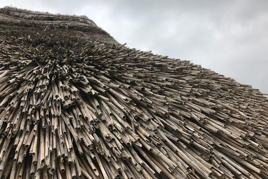 Bath and Stonehenge Full-Day Private Tour from London
