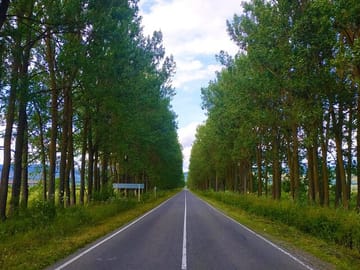 Epic Georgia Journey: 12 Days of Exploration & Charm