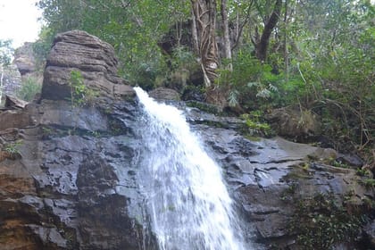 Nagpur to Pench & Satpura National Park, Tiger Safari Tour