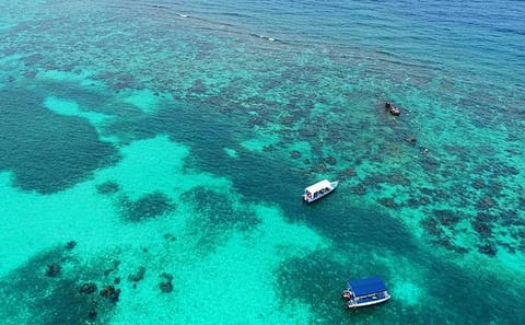 Snorkeling Tour of Mangroves and Shipwrecks in Roatan