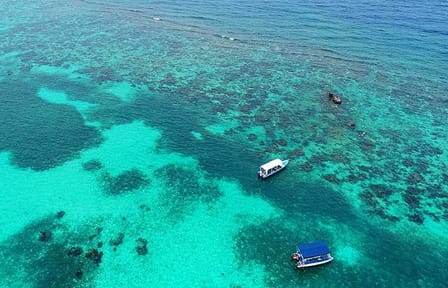 Snorkeling Tour of Mangroves and Shipwrecks in Roatan