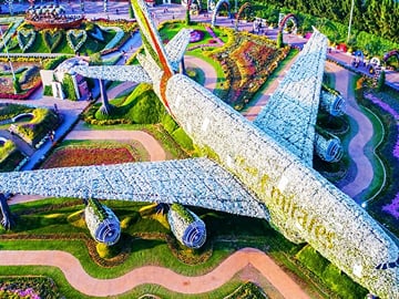 Dubai Miracle Garden Ticket with Dubai City Tour