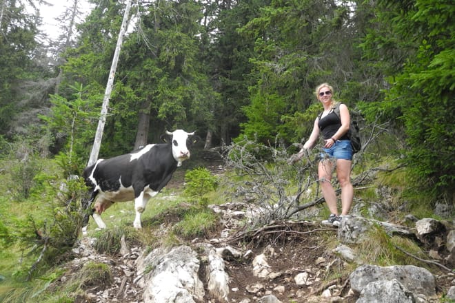 Day Hike PRIVATE - Ciucas Mountain photo 2