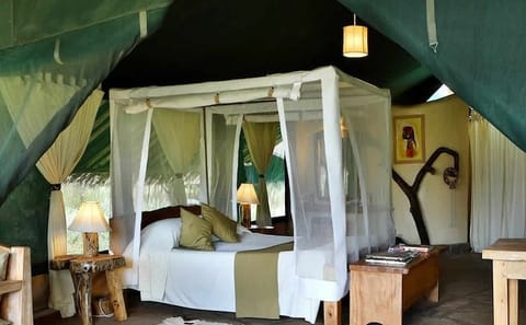 9-Day Private Safari to See the Big Five in Kenya