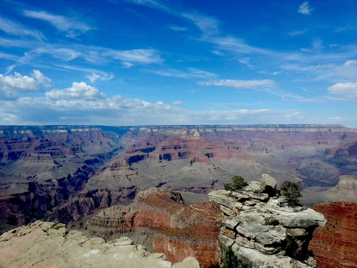 Grand Canyon National Park South Rim Private Tour by Bindlestiff Tours 2