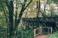 Historic Columbia River Highway