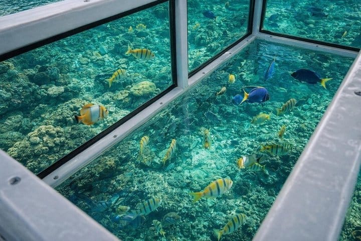 Private Glass Bottom Boat Tour to El Arco and Lover's Beach 6