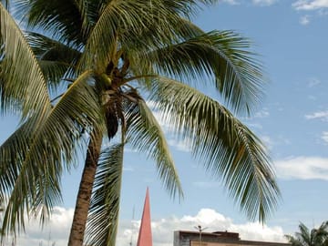 City and Wildlife Tour of Tarapoto with Chocolate Tasting