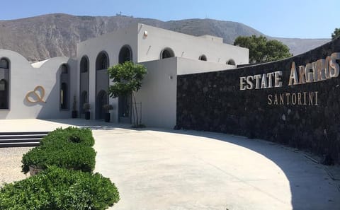 Wine Tasting Tour in Akrotiri and Thera with Oia Sunset