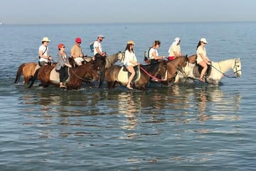 Horseback Riding Adventure in Hurghada, Egypt