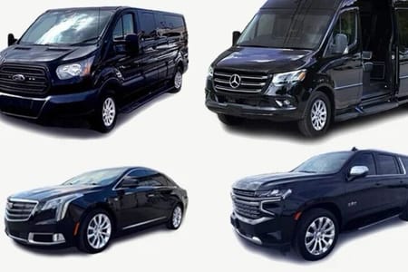 Puntacana airport Tranfers roundtrip-Airport PUJ to Uvero Alto