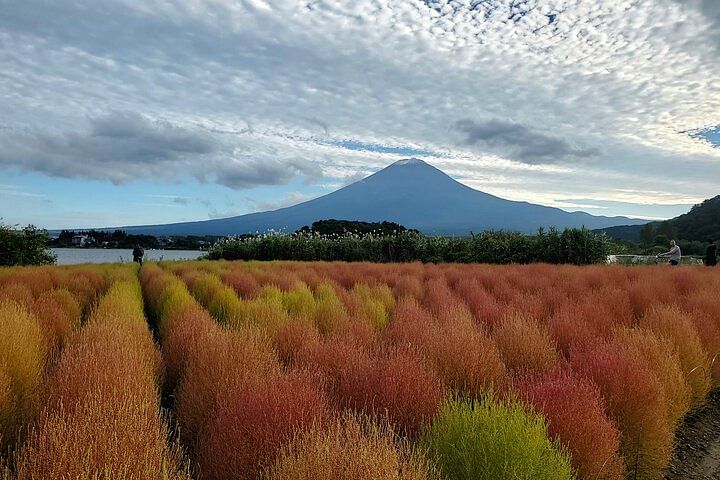 2 Days Private Tour: Tokyo / Mt Fuji and Hakone