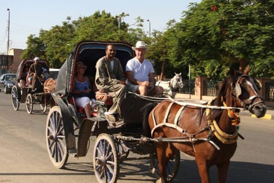 City Tour By Horse Carriage One Hour in Luxor - Luxor
