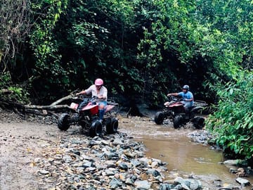 Roatan Eco Dune Buggy Sloths Safari Beach Adventure