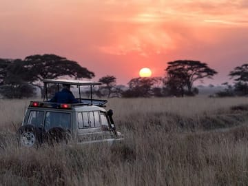 Night Game Drive at Nairobi National Park