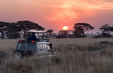 Night Game Drive at Nairobi National Park