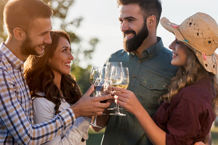 From Porto: Small Group Douro Valley Wine Tour