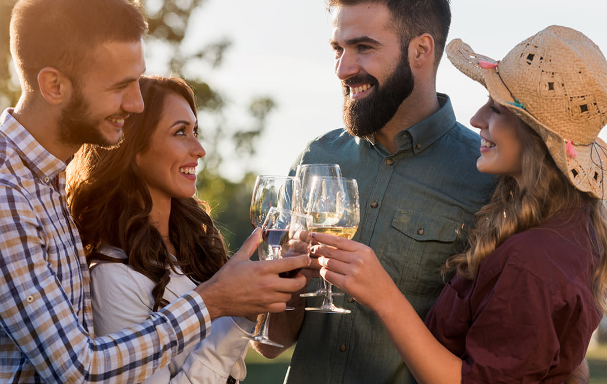 From Porto: Small Group Douro Valley Wine Tour