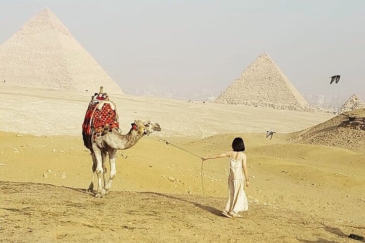 Hurghada to Cairo Private Tour Pyramids Grand Museum Camel Ride