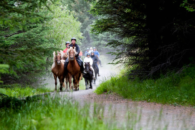 05C - Riding and Relaxation 3