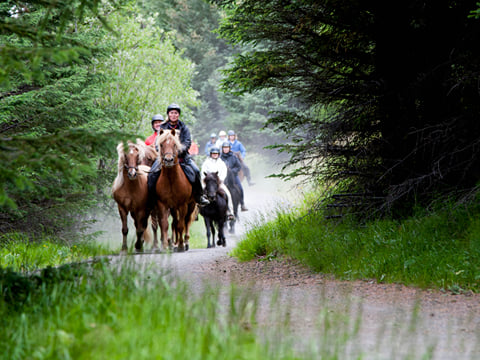 05C - Riding and Relaxation, photo 8