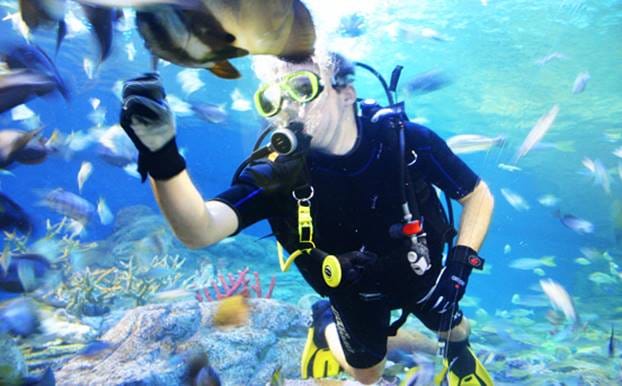 PATTAYA Join Tour Under Water World 8
