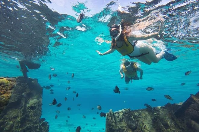 Cancun 5 in 1 Snorkeling Tour: MUSA, Shipwreck, Reefs & Cenotes photo 2