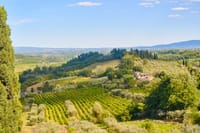 Day Trip from Rome to Tuscany by high speed train: Medieval Towns & Chianti Wine Tasting 4