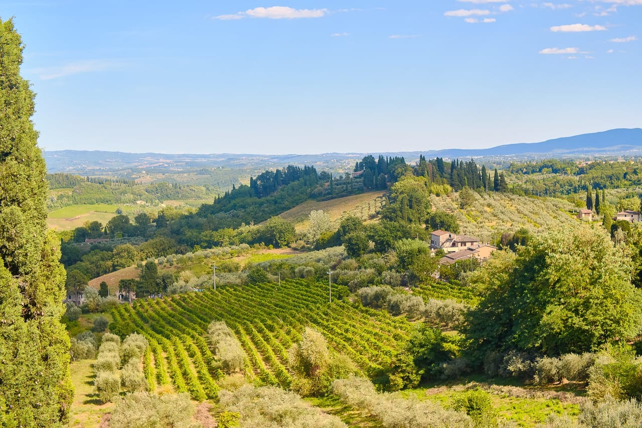 Day Trip from Rome to Tuscany by high speed train: Medieval Towns & Chianti Wine Tasting 4
