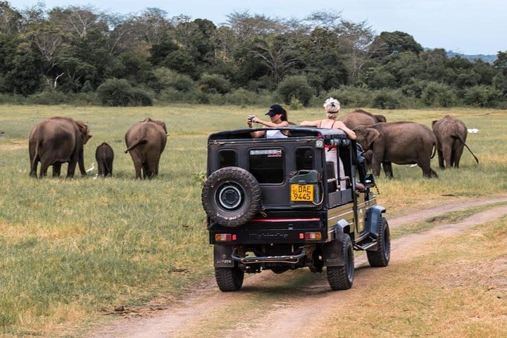 Horton Plains National Park Tour With Scenic Train Ride