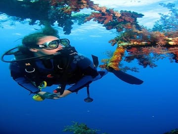 8-Night Best of Jordan Including 1 Night Wadi Rum,1 Night Aqaba, and 1 Night Dead Sea
