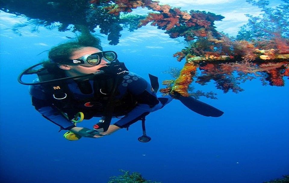 Private Full Day Tour to Aqaba Red Sea from Petra Hotels.