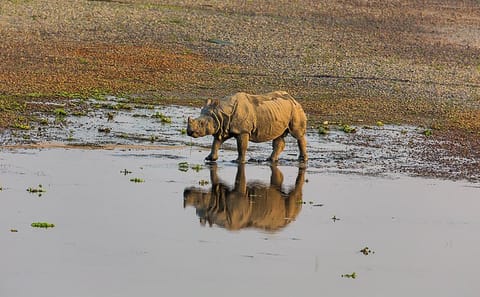 5-Day Pokhara and Chitwan Jungle Tour from Kathmandu