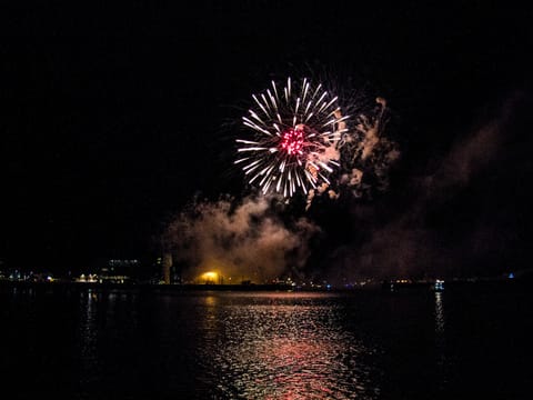 New Years Firework Cruise, photo 4