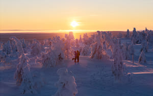 Riisitunturi National Park