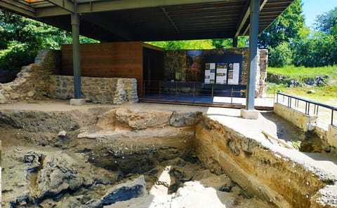 Private Cultural Tour of Dmanisi and Bolnisi in Georgia