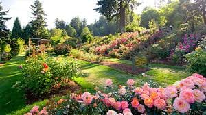 Best of Portland City Afternoon Tour 5