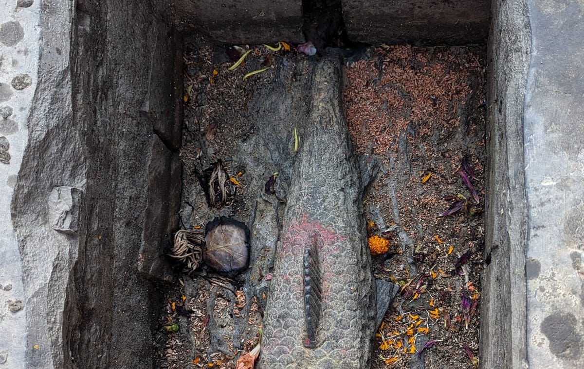 From Bazaar to Hippie Hub: Ason & Freak Street Tour