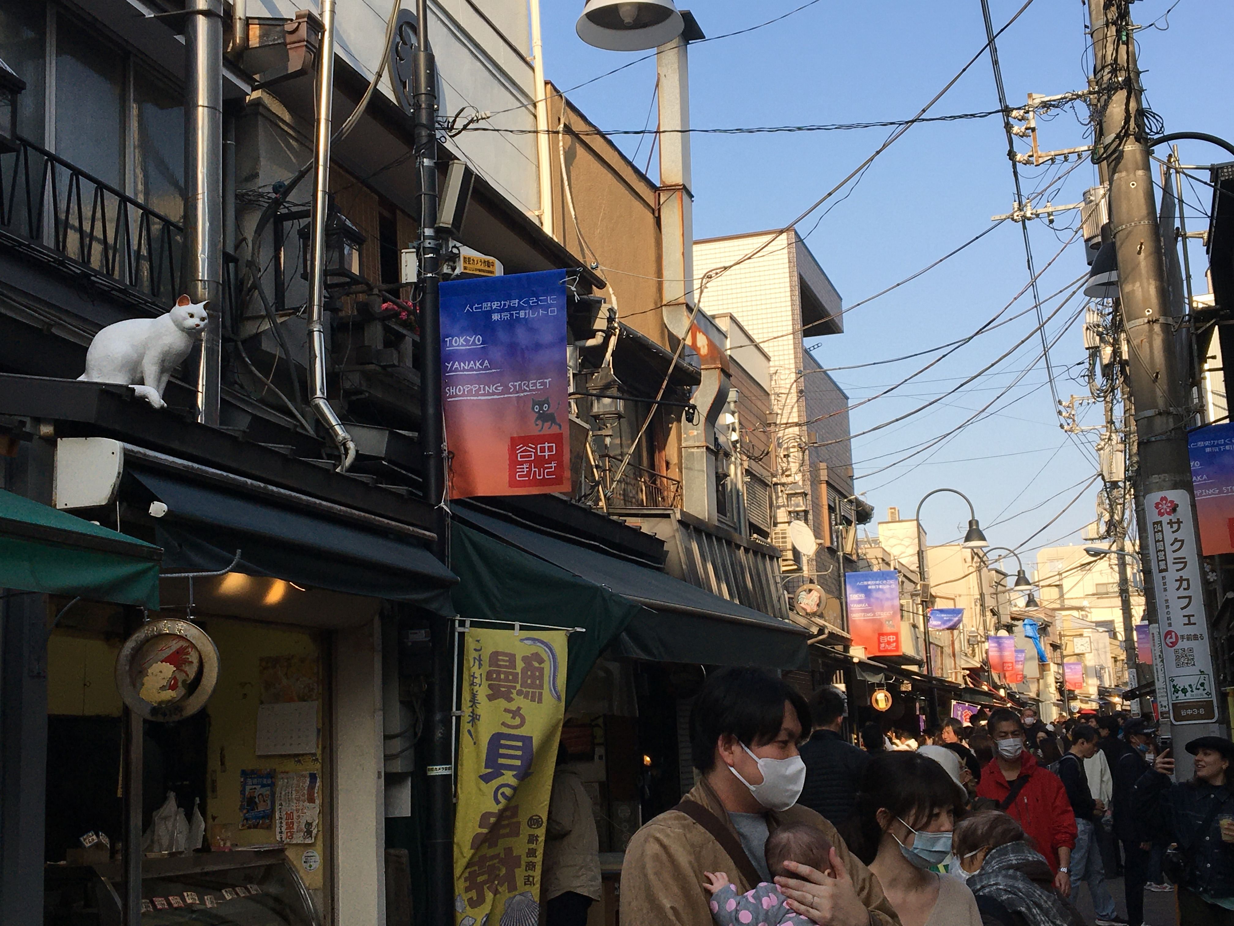 Home Visit in YANAKA with Homely and Local Experience and Tour