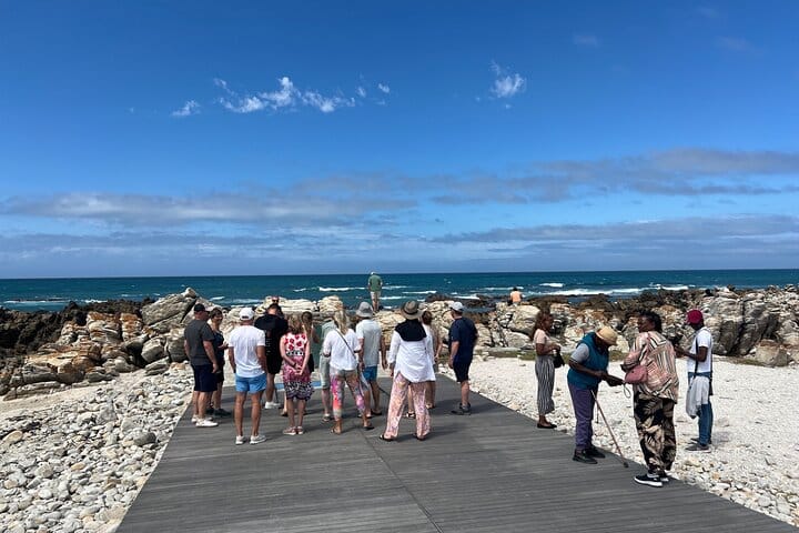 Cape Agulhas, Full-Day Private Tour & Wine Tasting from Cape Town