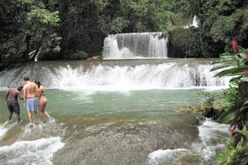 Private Day Tour to YS Falls and Black River from Falmouth