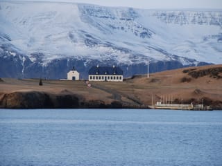 Reykjavík Whales & Viðey Island, photo 15