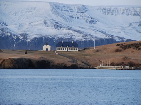 Reykjavík Whales & Viðey Island, photo 15