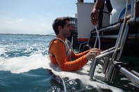 Walk down to the bottom of the sea